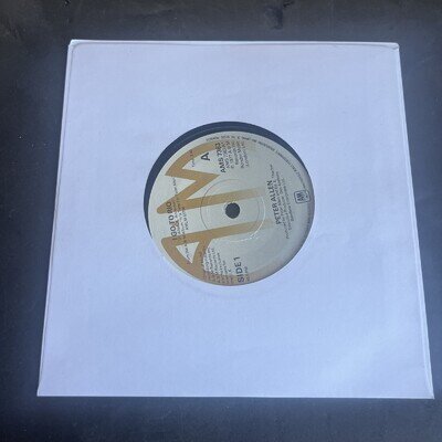 Peter Allen - I Go To Rio - 7” Single - Ex Con - B 40