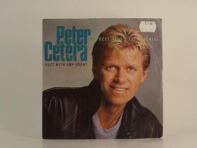 PETER CETERA THE NEXT TIME I FALL (82) 2 Track 7" Single including Picture Sleev