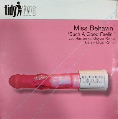 Miss Behavin' - Such A Good Feelin' (12") (Very Good (VG)) - 4021278850