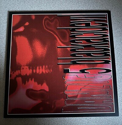Danzig - Danzig 5: Blackacidevil - Limited Edition 12" Vinyl Samhain Misfits