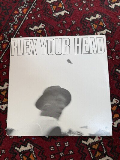 Dischord Records Flex Your Head Original Vinyl Compilation Minor Threat