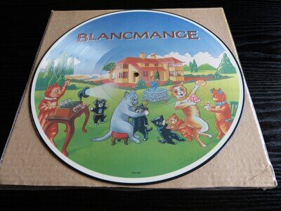BLANCMANGE "HAPPY FAMILIES" PICTURE DISC ALBUM MINT CONDITION