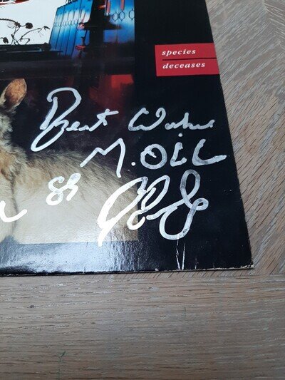 Midnight Oil - 1985 OZ E.P. *Signed* By The Late Rob Hirst, Legendary Drummer