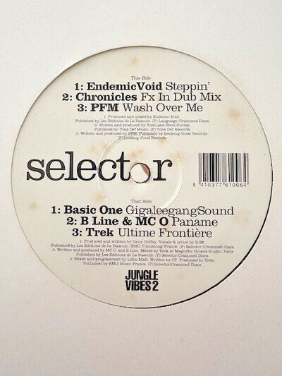 PFM - Wash Over Me / 2 Dreads In A Dub - Chronicles In Dub 12" Jungle Vinyl 1995