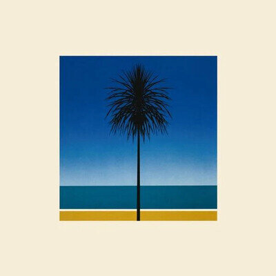 Metronomy | The English Riviera | Vinyl LP - Black