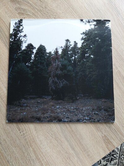 Merrow and Xiu Xiu Vinyl LP Album Merzxiu