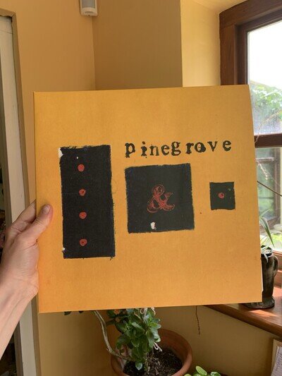 Pinegrove Everything So Far [2017 Gatefold 2-Disk Lp]. VGC