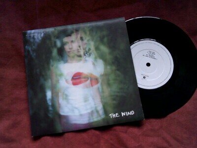 PJ HARVEY The wind RARE 7" 1990s INDIE Rock EX