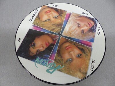 Poison: Look what the cat dragged in - UK Picture Disc Album -1986 -MFN69P