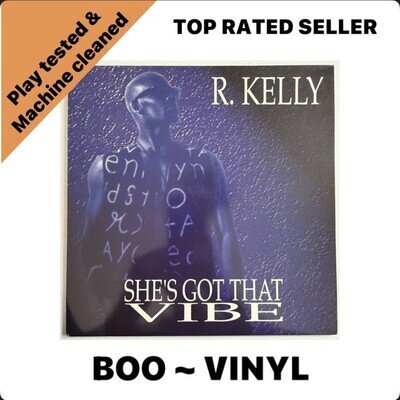 R. Kelly - She's Got That Vibe - 12" Vinyl (1993) R& B New Jack Swing VG+ / EX