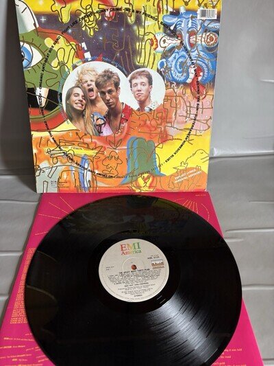 Red Hot Chili Pepper Vinyl Record LP