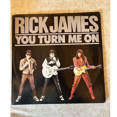 Rick James – You Turn Me On – 12" 45RPM Disco Mix – Gordy TMGT 1359