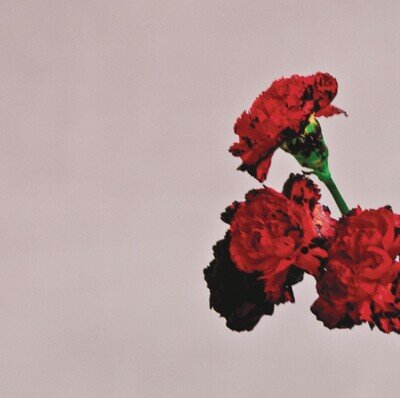 John Legend Love in the Future (Vinyl) 12" Album