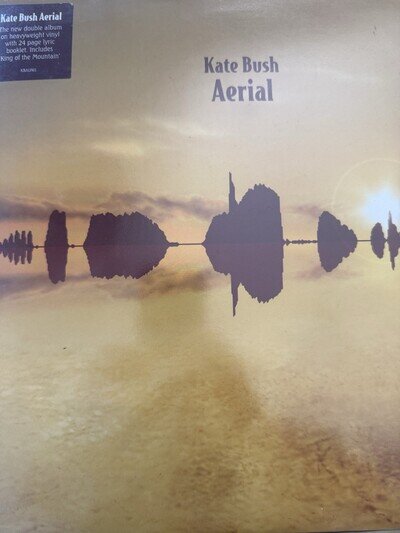 Kate Bush Aerial Vinyl Record (180g 2LP 12") Black 2005