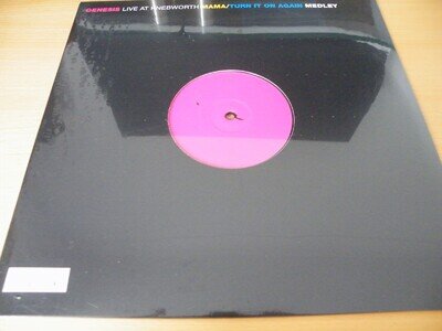 Genesis - Live At Knebworth, 12" vinyl no 816/3000 sealed unplayed rsd