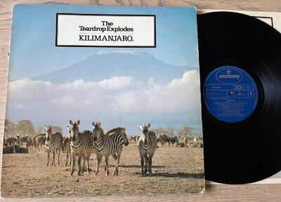 TEARDROP EXPLODES KILIMANJARO LP MERCURY 1981 EX +INNER NEW WAVE JULIAN COPE UK