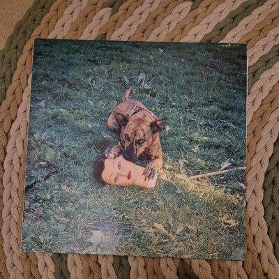 Cody by Joyce Manor (Record, 2016)