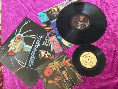 ROGER TAYLOR, 1 LP RECORD, 1 SINGLE. BITH EXCELLENT. FUN IN SPACE, FUTURE MANAGE