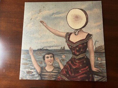 Neutral Milk Hotel: In The Aeroplane Over The Sea Vinyl Record (reissue)