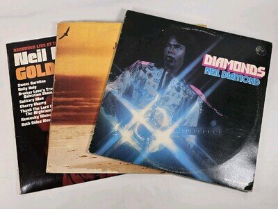 Neil Diamond Diamonds Jonathan Livingston Vinyl Bundle Lot of 2 VG+/VG+
