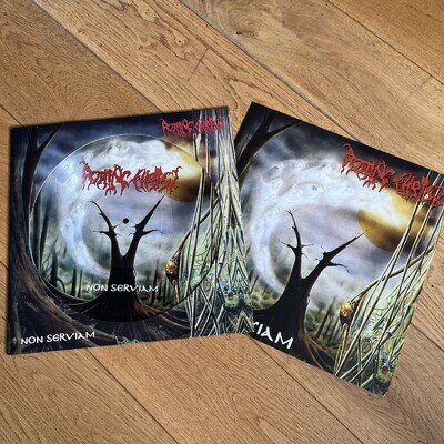 Rotting Christ - Non Serviam PICTURE DISC vinyl LP with Cover
