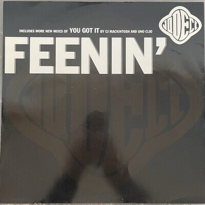 Jodeci - Feenin - 12" Vinyl Inc You Got It Remixes Single