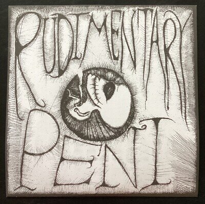 Rudimentary Peni Self Titled White Vinyl Fold Out Sleeve & Booklet Nick Blinko