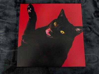 Ryan Adams Big Colors Red Vinyl LP Bonus 7 Inch Single PAX-AM NM