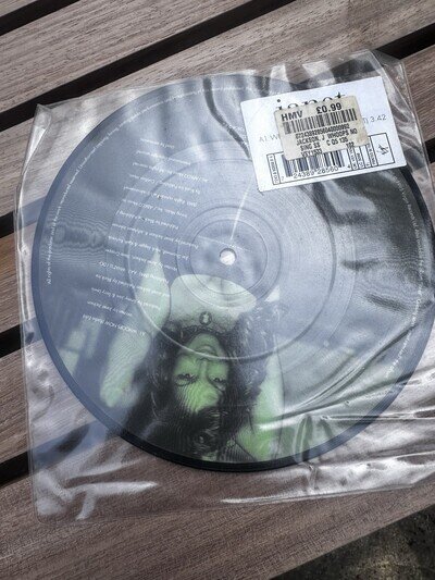 Janet Jackson - Whoops Now 7" Picture Disc Vinyl UK 1995 Single