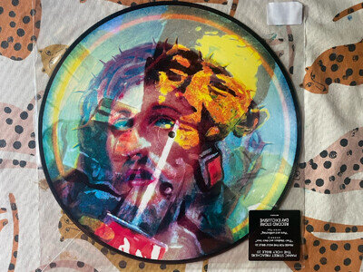 Manic Street Preachers - The Holy Bible 20 12" Picture Disc Vinyl LP 33RPM 2014