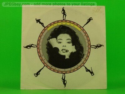 SANDRA BIG INSANITY (137) 7" VIRGIN