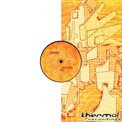 Calibre - Jane’s Twitch 12" Vinyl, Jungle Drum'n'bass LTJ Bukem 2001 Mint/Sealed