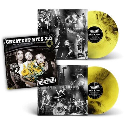 Busted - Greatest Hits 2.0: Another Present for Everyone Vinyl 12" Album