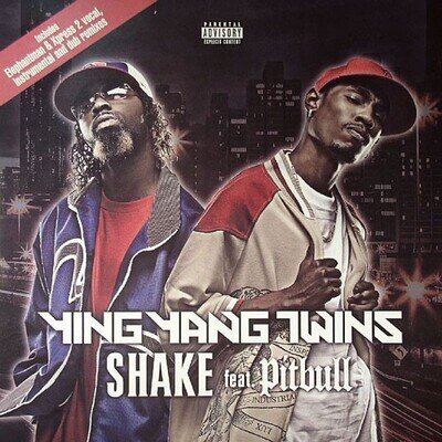 Ying Yang Twins Feat. Pitbull - Shake - UK 12" Vinyl - 2006 - TVT Records