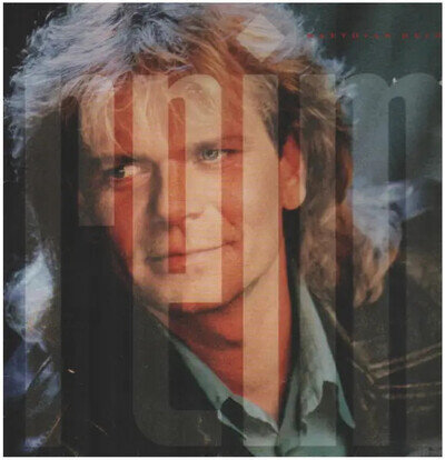 Matthias Reim Polydor Vinyl LP Gatefold Sleeve