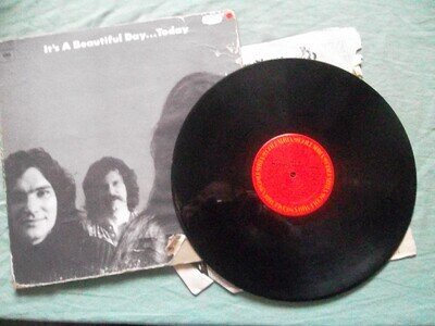 IT'S A BEAUTIFUL DAY... TODAY VINYL LP