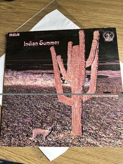 INDIAN SUMMER VINYL ALBUM