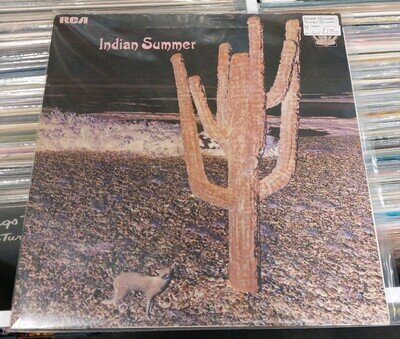 Indian Summer - Indian Summer - UK LP Neon NE3 1971