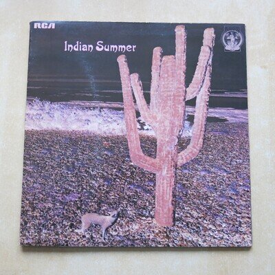 INDIAN SUMMER Indian Summer UK original vinyl LP RCA Neon NE3 1971