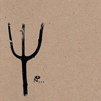 Indian Summer - GIVING BIRTH TO THUNDER [VINYL]