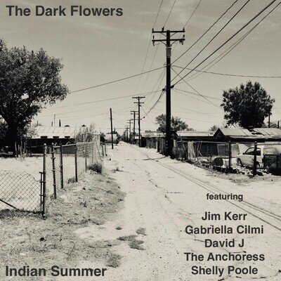 THE DARK FLOWERS - Indian Summer (Black Vinyl)