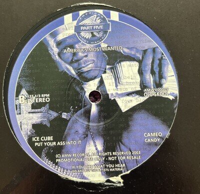 Various ‎– America's Most Wanted Part 5 - Featuring Ice Cube-Put Your Ass in to