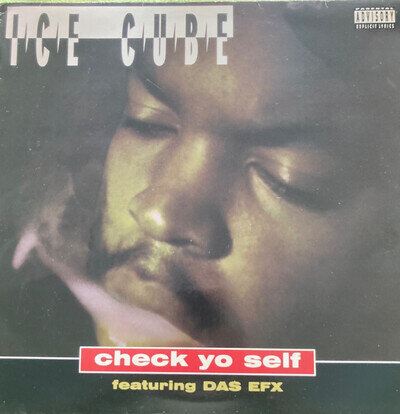 Ice Cube - Check Yo Self, 12", (Vinyl) excellent condition , Sleeve VG+.