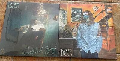 Hozier 2 x Vinyl LPs Self Titled & Wasteland Baby Sealed