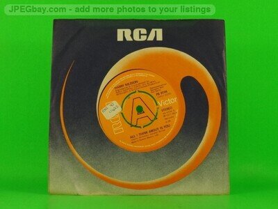 HARRY NILSSON ALL I THINK ABOUT IS YOU (DEMO) (153) 2 Track 7" Single Company Sl