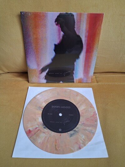 When You're Gone Shawn Mendes Orange Marble Vinyl Record
