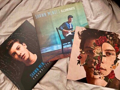 Shawn Mendes 3 vinyls
