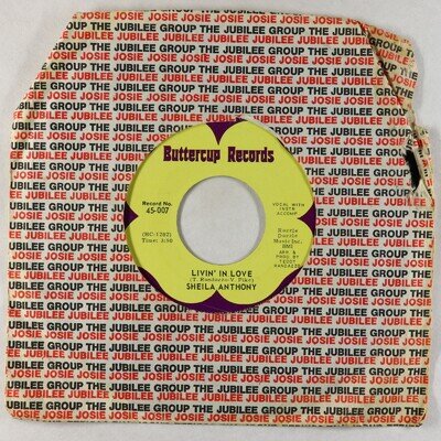Northern Soul 45 - Sheila Anthony - Livin' In Love - Buttercup