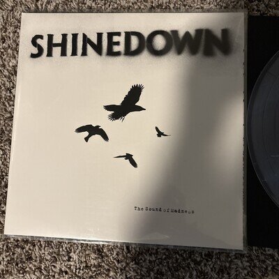 Sound of Madness by Shinedown (Record, 2021)