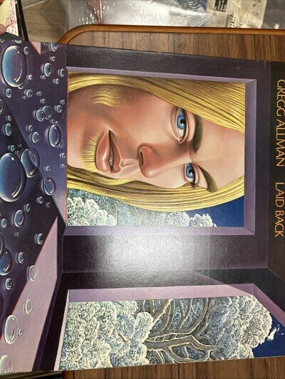 Gregg Allman Laid Back Lp Album Vinyl Record Capricorn Records
